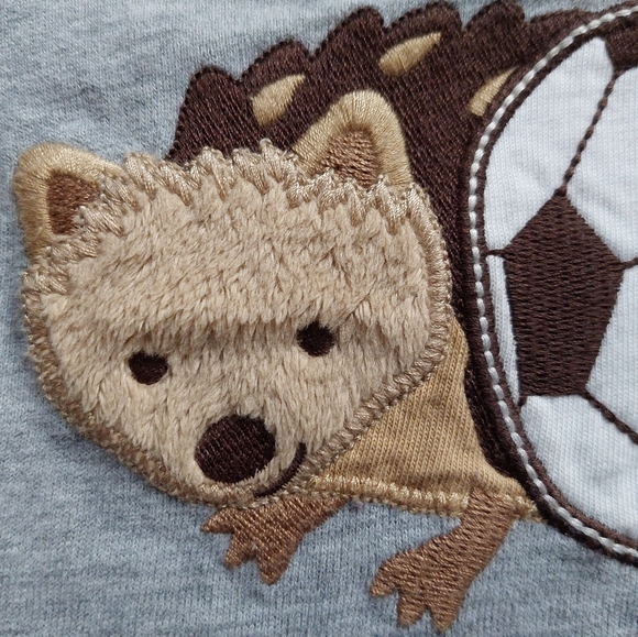 Gymboree 5T bear / hedgehog tees - Picture 10 of 16